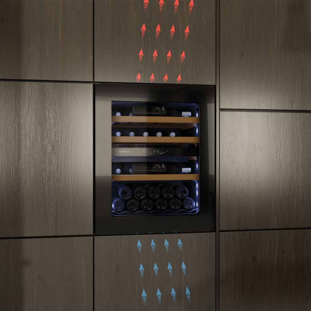 ������ ���� Dunavox DVP-25.65DB