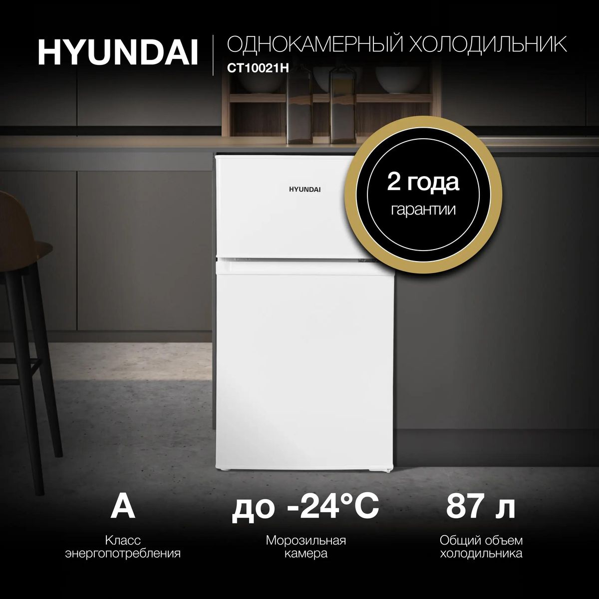 ������������ ����������� Hyundai CT10021H �����