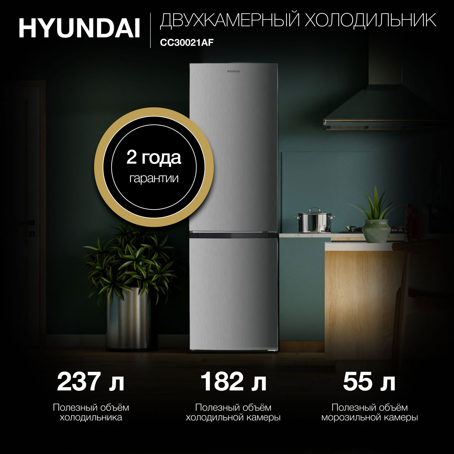 ������������ ����������� Hyundai CC30021AF ����������� �����
