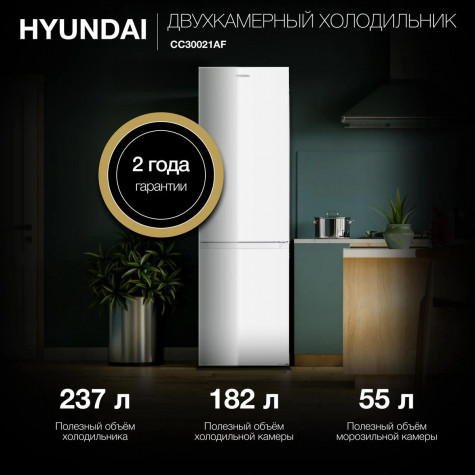 ������������ ����������� Hyundai CC30021AF �����