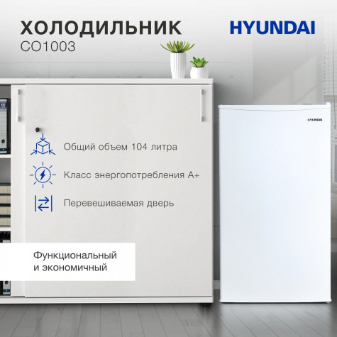 ������������ ����������� Hyundai CO1003 �����