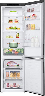 ������������ ����������� LG GA-B509CECL