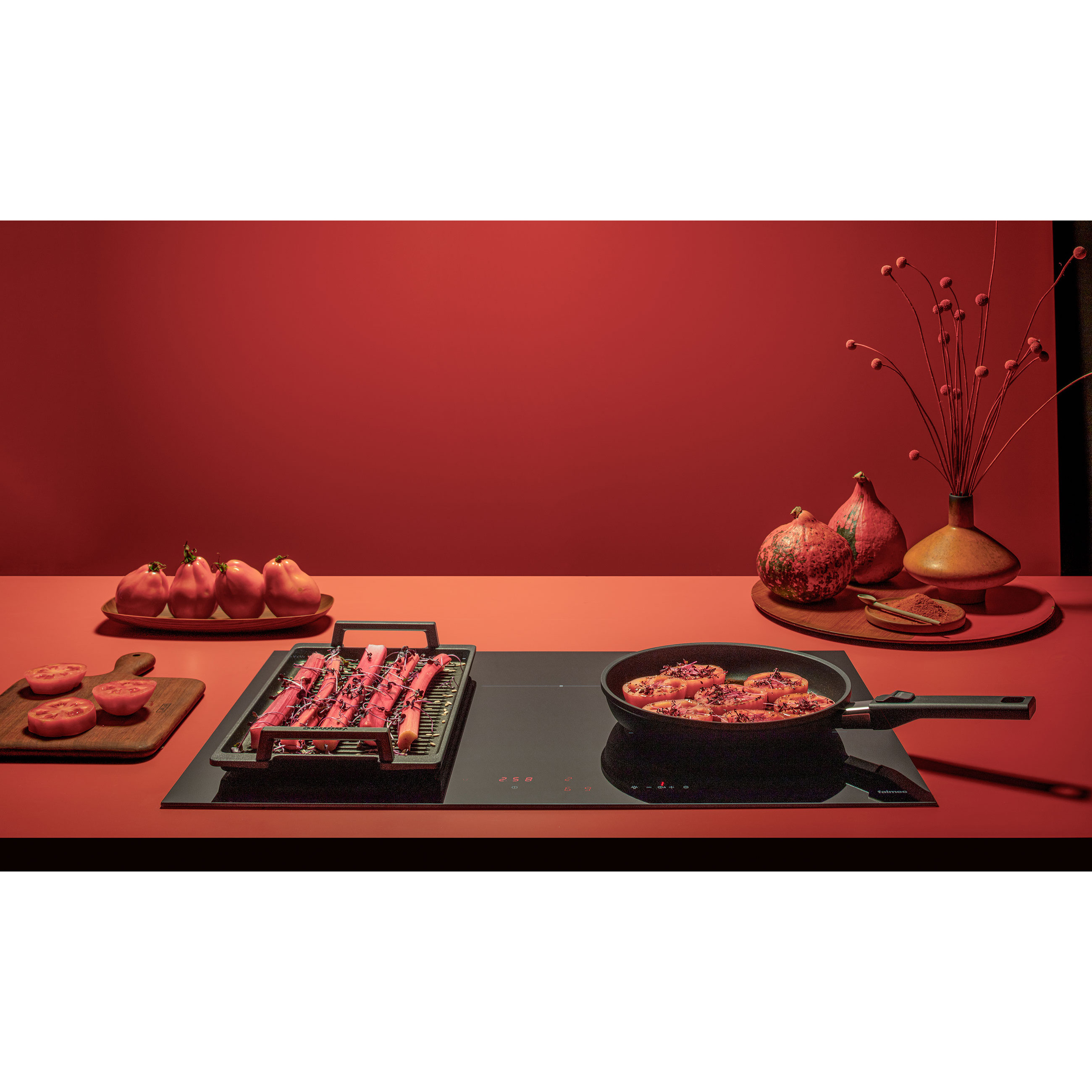 �������� ������ Falmec PIANO INDUZIONE 78x51