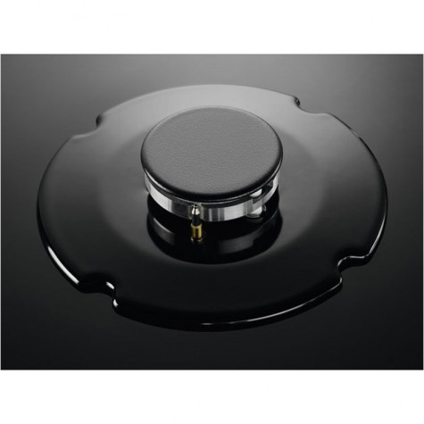 ������� �������� ������ Electrolux KGG6407K ������