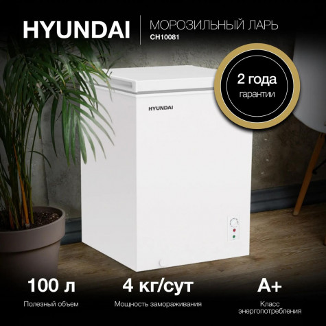 ����������� ���� Hyundai CH10081
