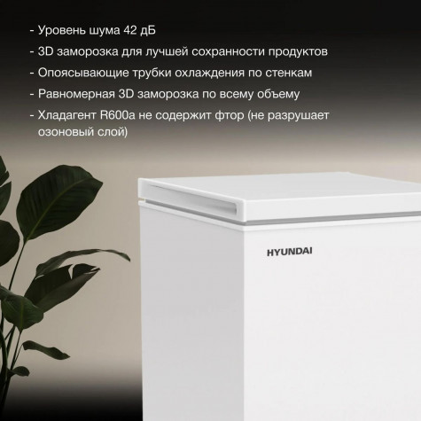 ����������� ���� Hyundai CH10081