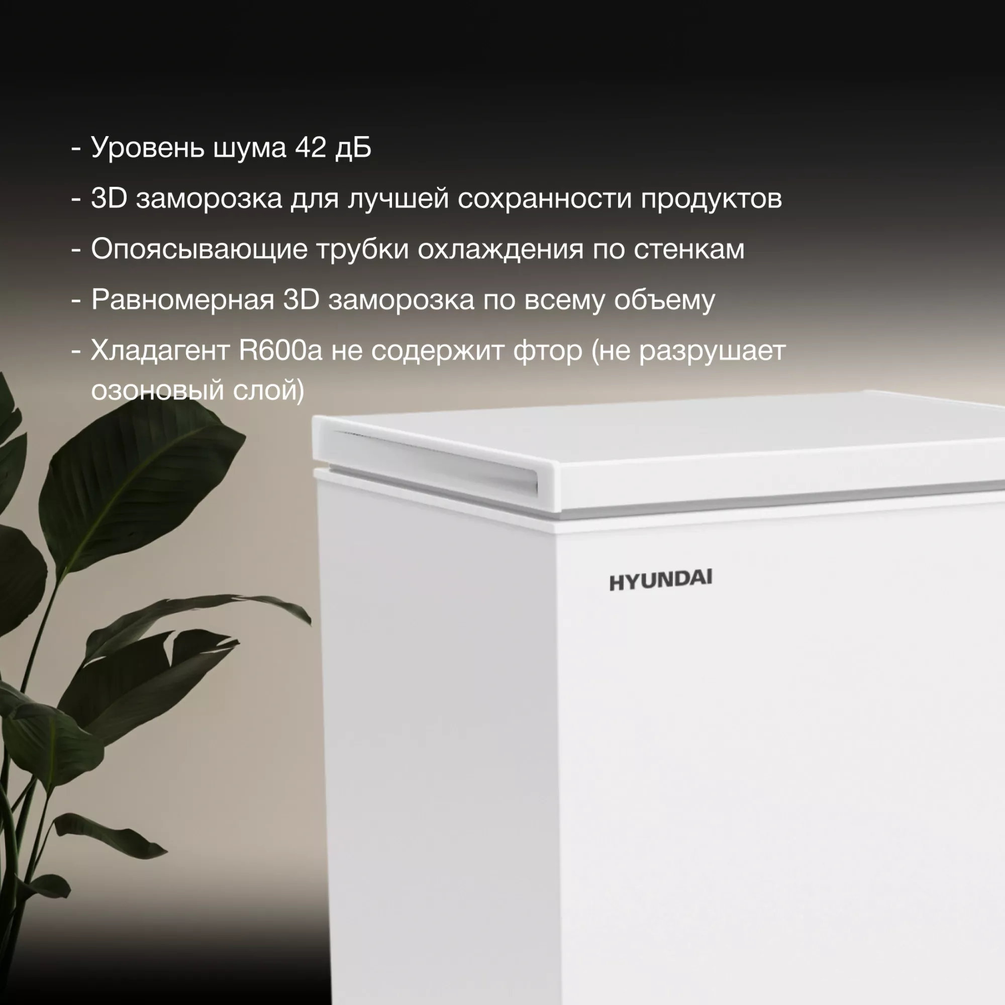 ����������� ���� Hyundai CH15081 ����� 72��