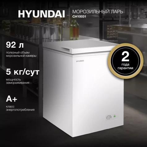 ����������� ���� Hyundai CH10031 ����� 70��