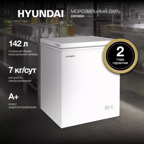 ����������� ���� Hyundai CH15031 ����� 110��