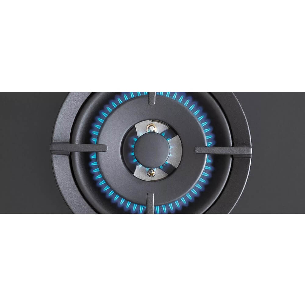 ������� �������� ������ Bertazzoni P905LPROGNE