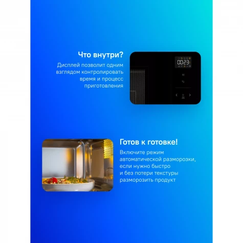 ������������ ������������� ���� Gorenje BM251SG2BG