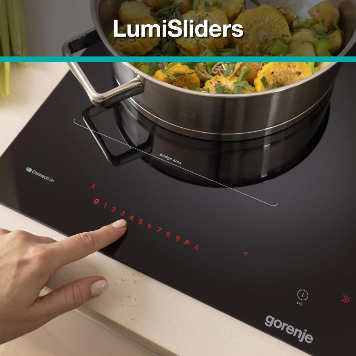 ������������ �������� ������ Gorenje GI6443BSCWF