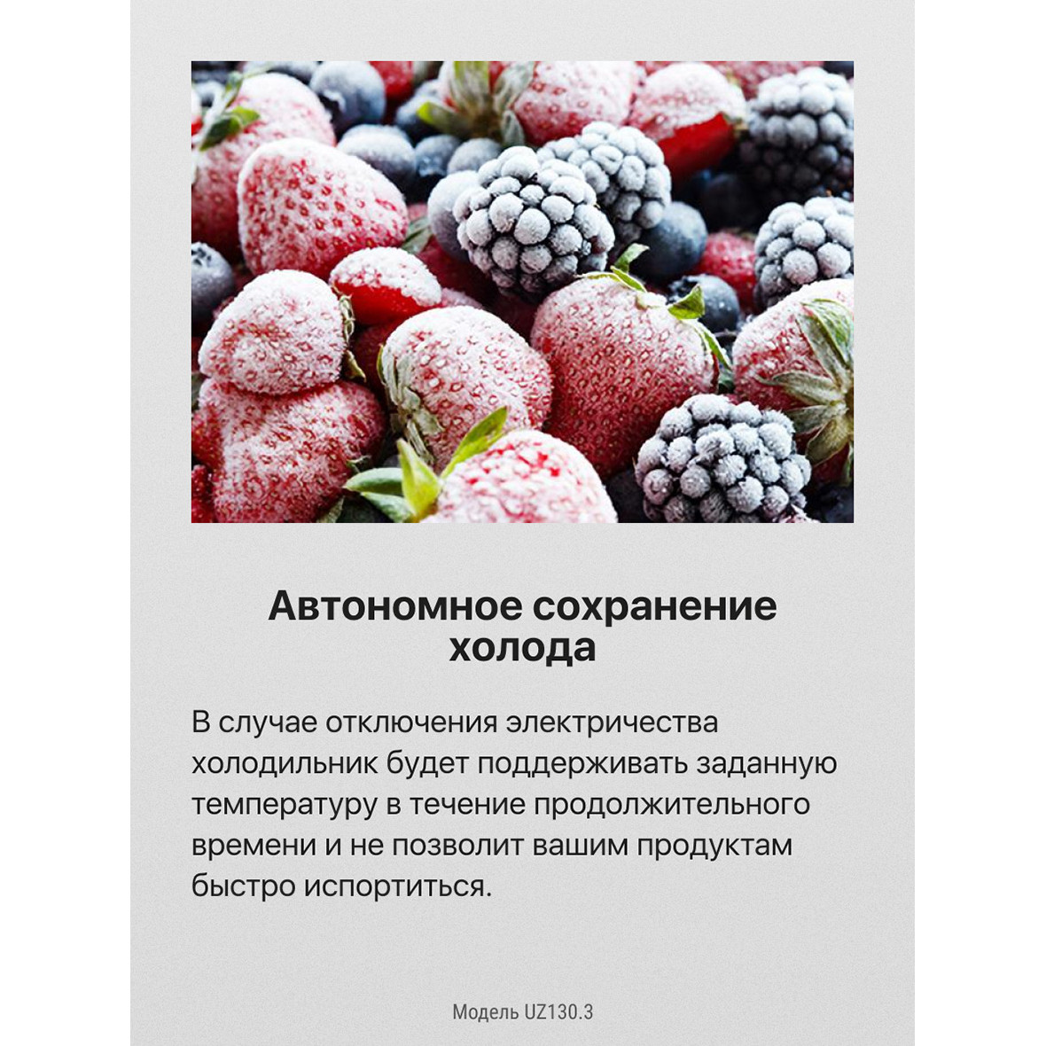 ������������ ����������� Hansa UZ130.3