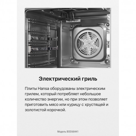 ������������� ������� ���� Hansa BOEI68441