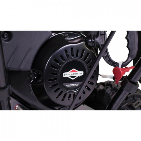 ������������ ������������ Champion ST761BS