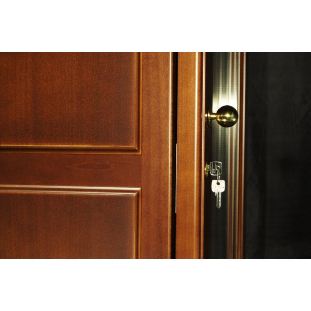������ ���� IP Industrie CEX 501 NU ����