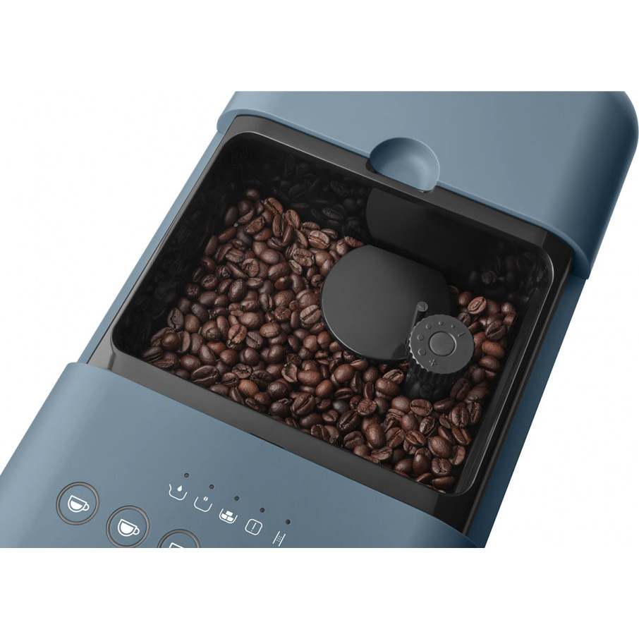 �������������� ���������� Smeg BCC13SBMEU