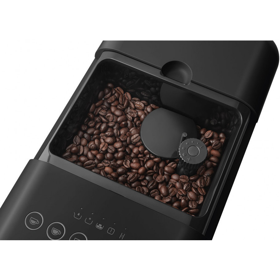 �������������� ���������� Smeg BCC13BLMEU