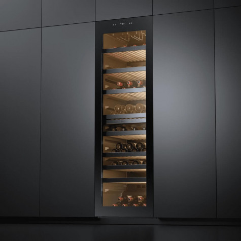 ������ ���� Casarte CASWS170GDAI