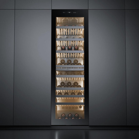 ������ ���� Casarte CASWS170GDAI