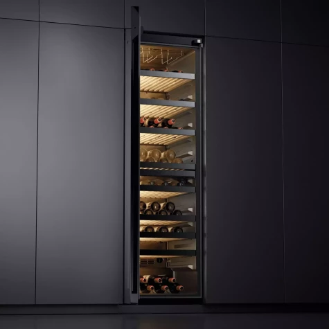 ������ ���� Casarte CASWS170GDAI