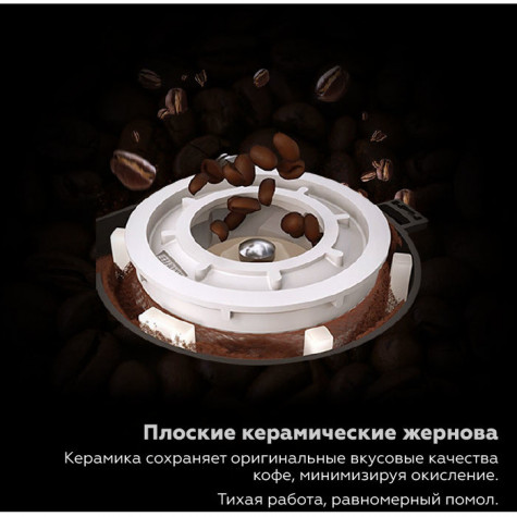 ���������� Dr.Coffee Proxima F11 Big