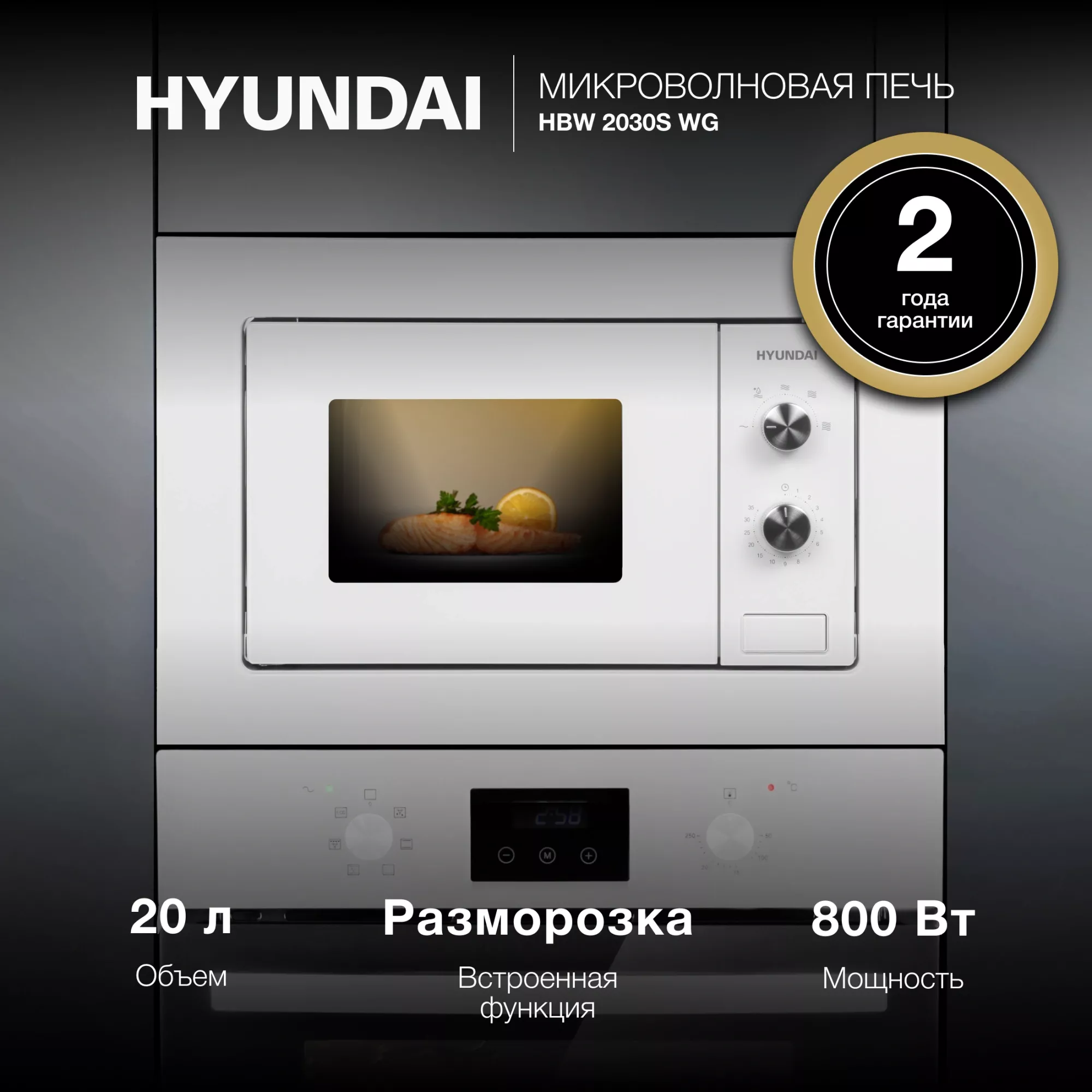 ������������ ������������� ���� Hyundai HBW 2030S WG