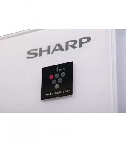 ����������� SHARP SJ-GX98PWH